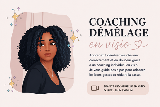 COACHING DÉMÊLAGE VISIO